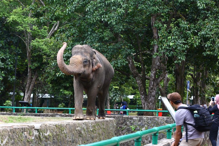 Ragunan Zoo